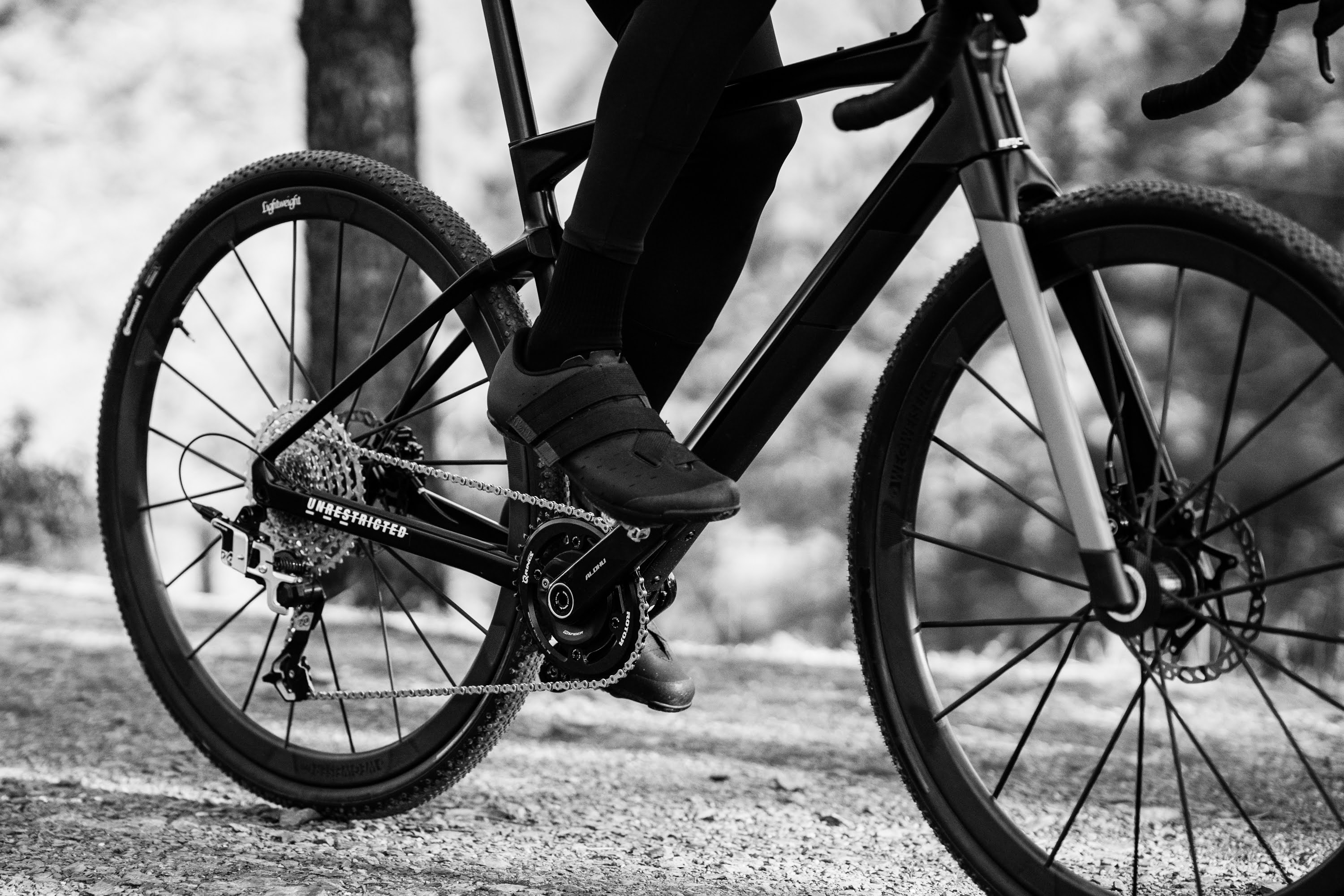 ROTOR ALDHU CARBON 自転車 パーツ 自転車 パーツ の通販
